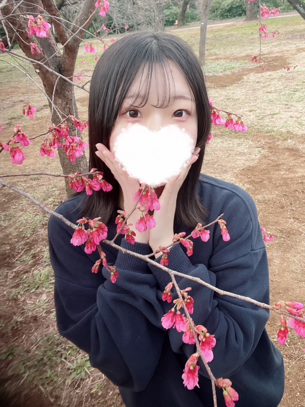 めいか
