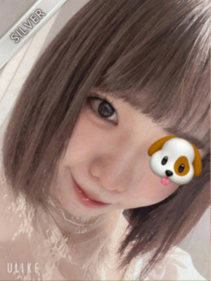 まかな(SILVER)