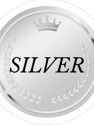 ⬇️シルバーセラピスト⬇️