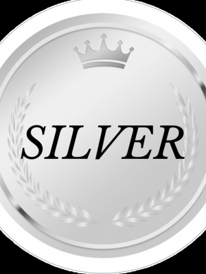 ⬇️シルバーセラピスト⬇️